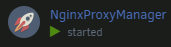 Nginx Proxy Manager Docker container running with status "Started"